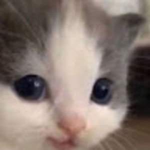 Meet your Posher, Alexa